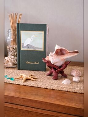 Egret Address Book & Fox Conch Sea Shell w/Wooden Stand